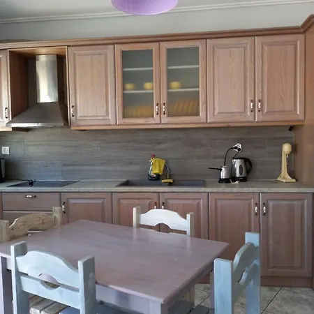 Apartment Flisvos House